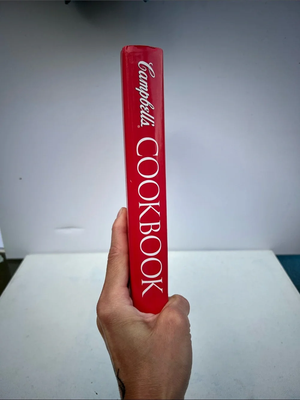 Campbell's Cookbook more than 300 recipes and cooking basics very large book
